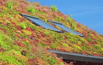Shooters Hill living roof systems